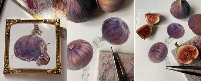 [Светлана Лансе] [lectoroom] Инжир акварелью (2024_0.png